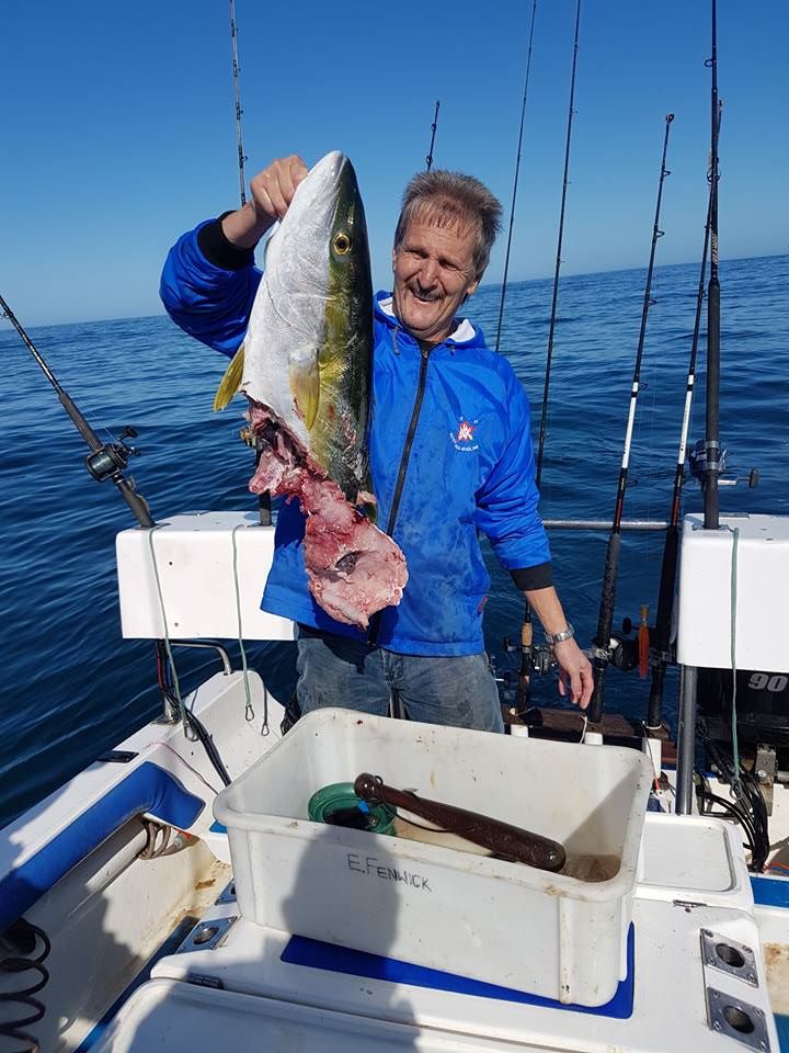 something-fishy-going-on